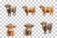 Highland Cow Farm Animal Clipart Bundle - CraftNest - Digital Crafting and Art
