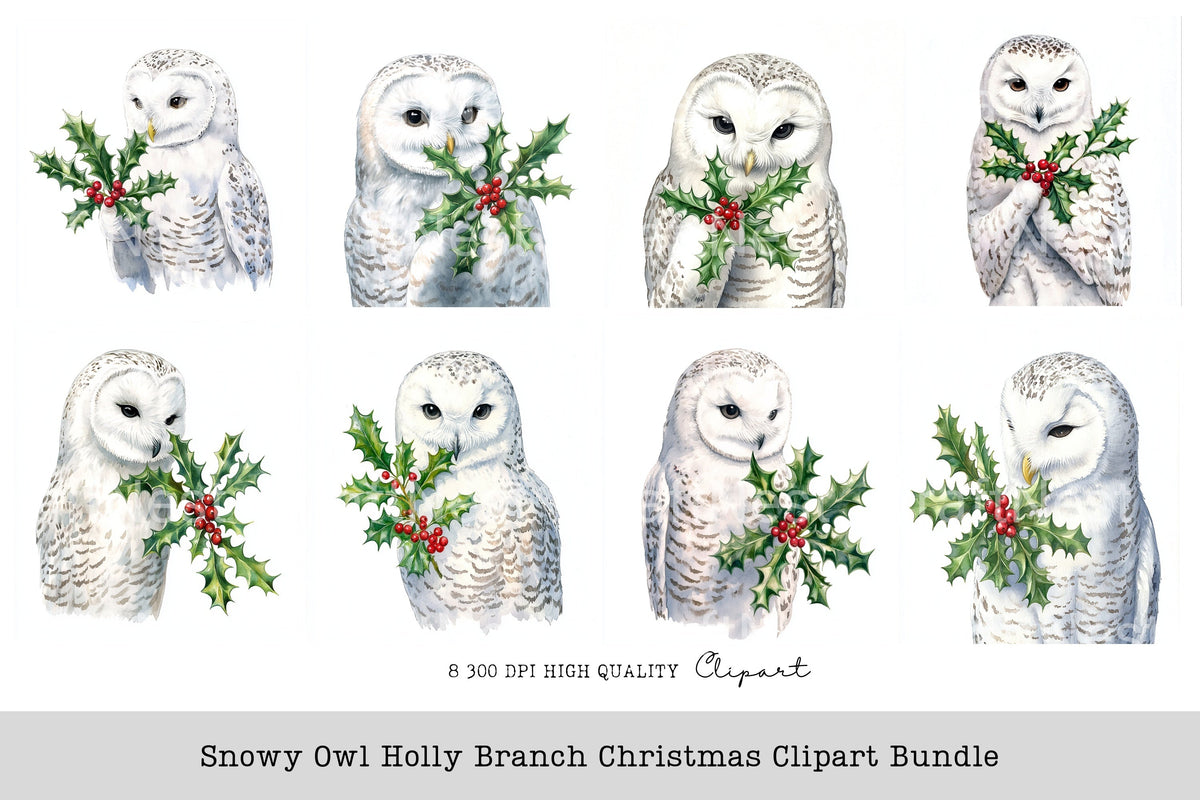 Snowy Owl Holly Branch Christmas Clipart Bundle
