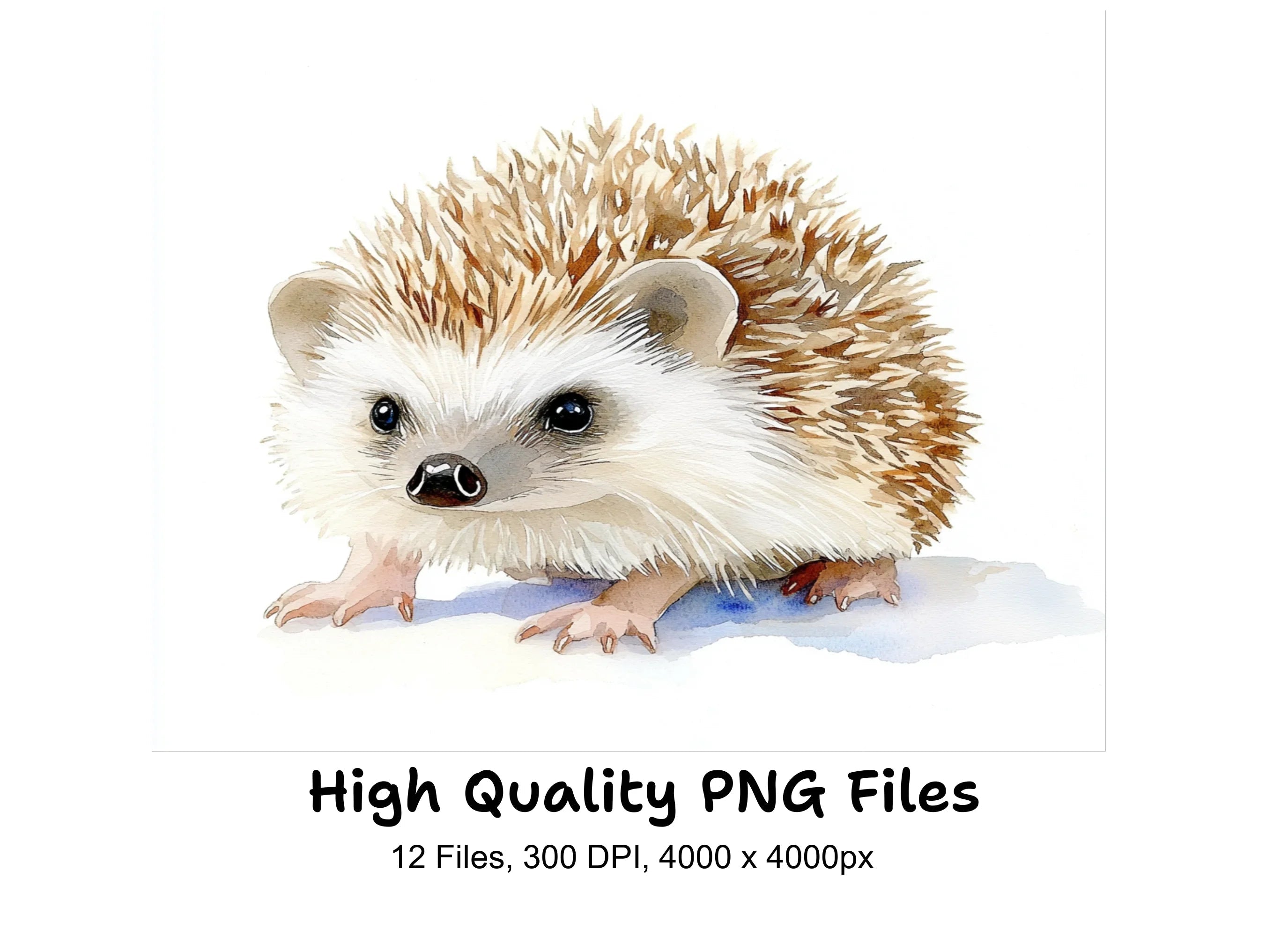 Adorable Hedgehog Clipart Bundle