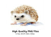 Adorable Hedgehog Clipart Bundle