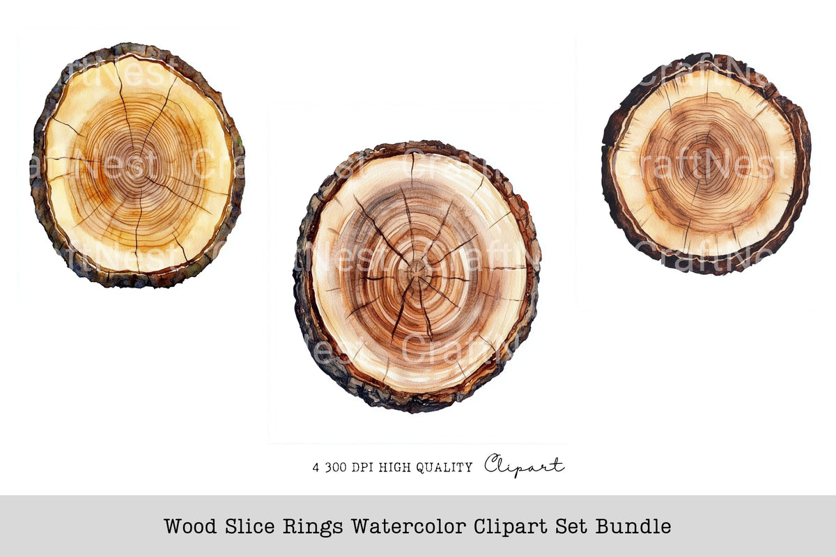 Wood Slice Rings Clipart Bundle