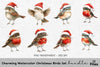 Charming Christmas Birds Clipart Bundle