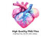 Anatomical Hearts Clipart Bundle