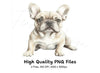 French Bulldog Puppies Clipart Bundle