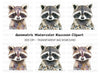 Cute Raccoon Faces Clipart Bundle