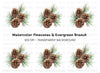 Pine Cones and Needles Clipart Bundle