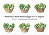 Green Vegetable Baskets Clipart Bundle