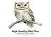 Cute Owl on Branch Clipart Bundle