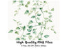 Greenery Vines Clipart Bundle