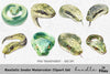 Realistic Snake Clipart Bundle