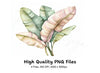 Banana Leaf Clipart Bundle