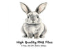 Cute Bunny Rabbit Clipart Bundle