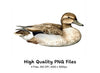 Mallard Duck Clipart Bundle