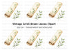 Floral Scroll Clipart Bundle