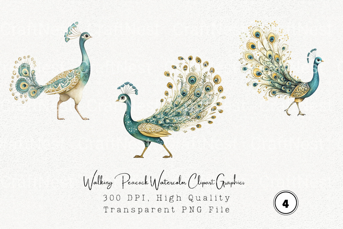 Walking Peacock Graphics Clipart Bundle