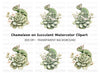 Chameleon on Succulent Clipart Bundle