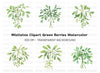Mistletoe Clipart Bundle