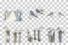 Seagulls on Coastal Pier Clipart Bundle - CraftNest - Digital Crafting and Art