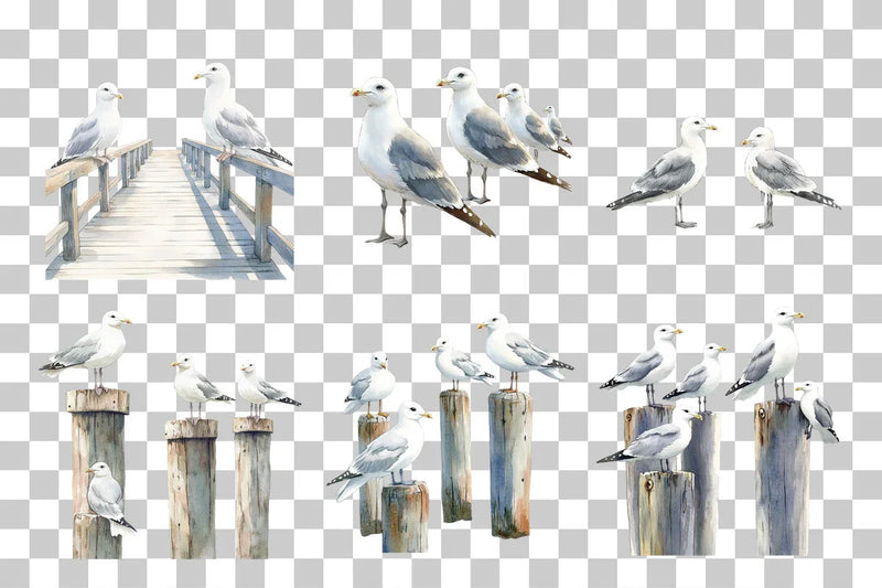 Seagulls on Coastal Pier Clipart Bundle - CraftNest - Digital Crafting and Art