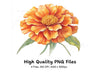 Orange Marigold Designs Clipart Bundle
