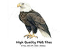 Majestic Bald Eagle Clipart Bundle