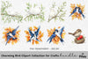 Charming Bird Clipart Bundle for Crafts