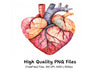 Human Heart Anatomy Clipart Bundle