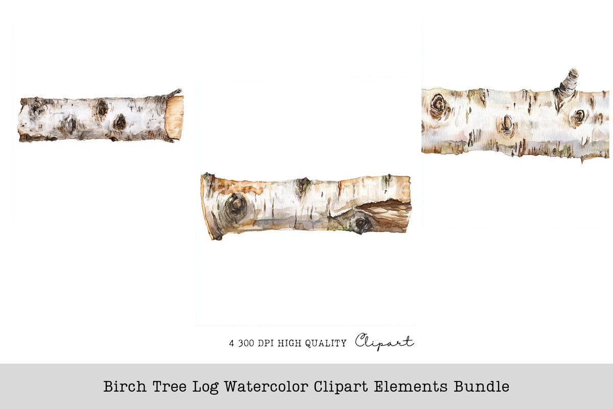 Birch Tree Watercolor Clipart Elements Log Book