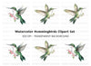 Hummingbird with Pink Flowers Clipart Bundle