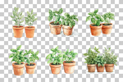 Potted Herb Garden Clipart Bundle - CraftNest - Digital Crafting and Art