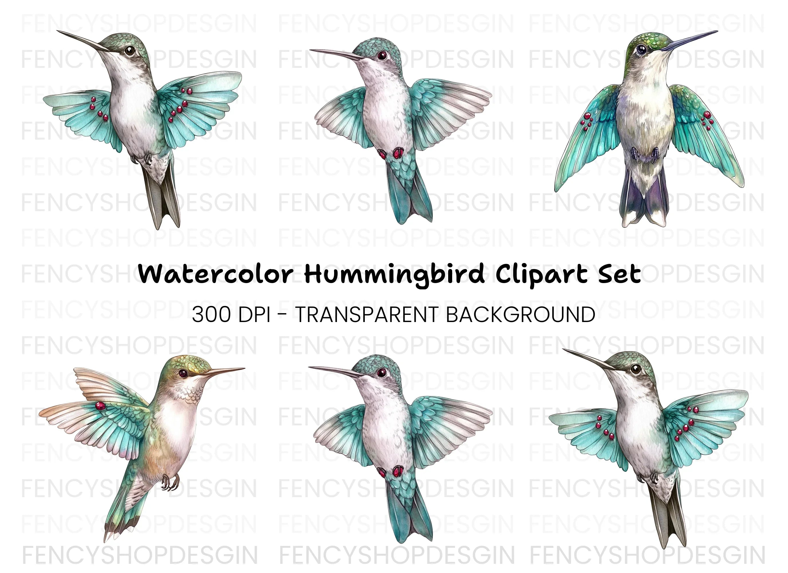 Hummingbird Clipart Bundle