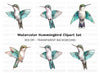 Hummingbird Clipart Bundle