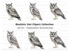 Realistic Owl Clipart Bundle
