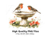 Robin Birds on Bird Bath Clipart Bundle