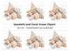 Coastal Seashells and Coral Clipart Bundle