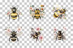 Folk Art Bee with Florals Clipart Bundle - CraftNest - Digital Crafting and Art