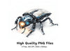 Steampunk Beetle Clipart Bundle