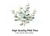 Eucalyptus Leaves Clipart Bundle