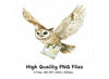 Flying Owls with Maps Clipart Bundle