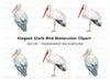 Vibrant Stork Designs Clipart Bundle