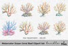 Ocean Coral Reef Clipart Bundle