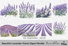 Beautiful Lavender Floral Clipart Bundle