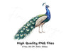 Elegant Peacock Clipart Bundle