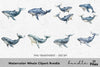 Whale Clipart Bundle