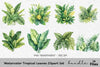 Tropical Leaves Clipart Bundle