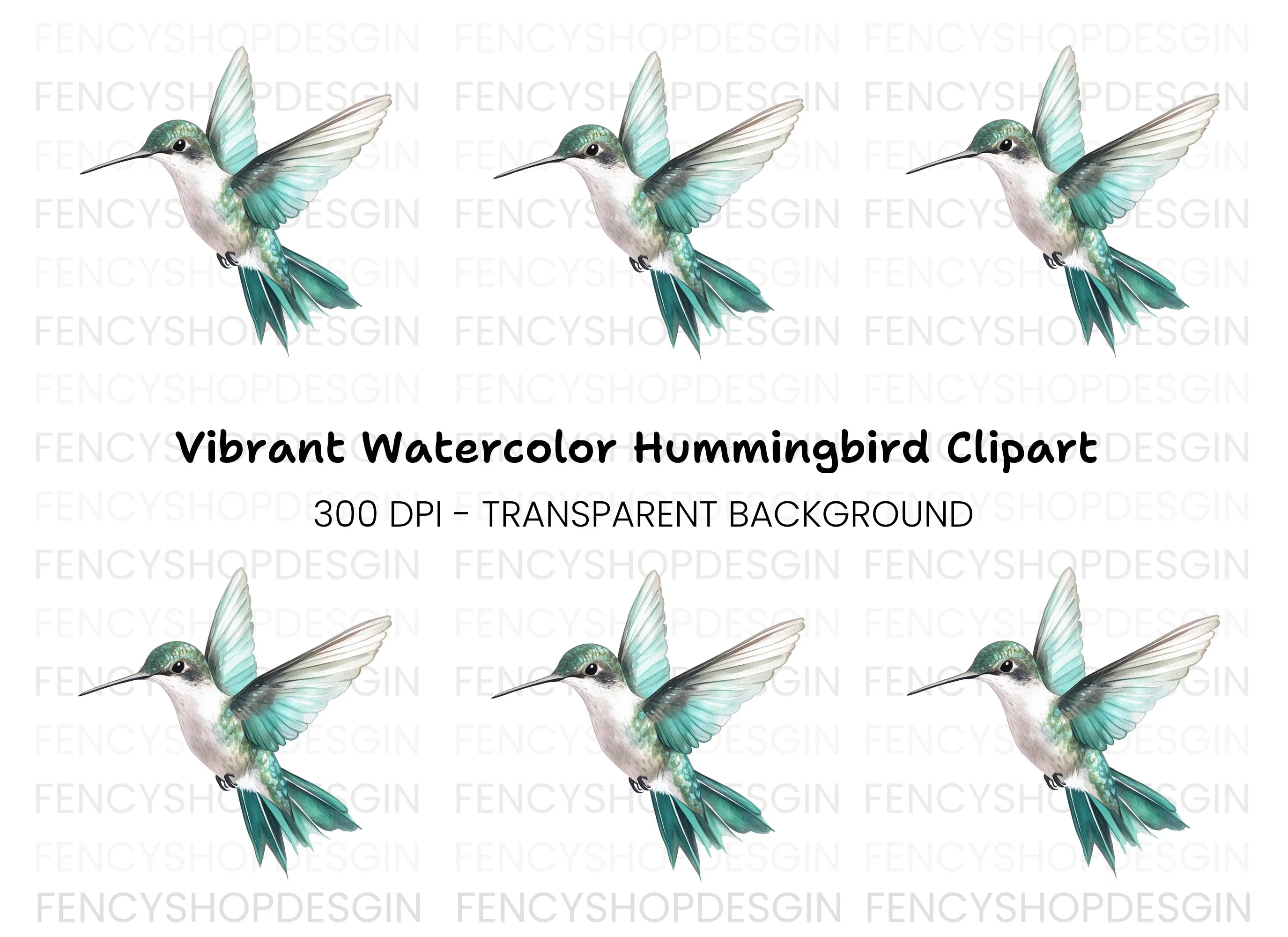 Elegant Flying Hummingbird Clipart Bundle