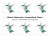 Elegant Flying Hummingbird Clipart Bundle