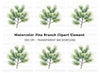 Pine Branch Clipart Bundle
