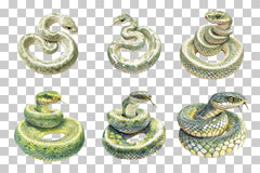 Cartoon Snake Jungle Animal Clipart Bundle - CraftNest - Digital Crafting and Art