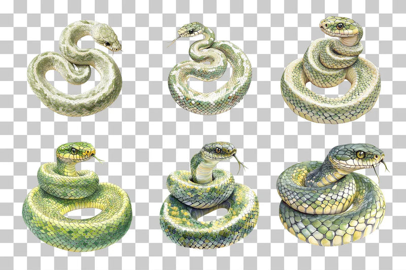 Cartoon Snake Jungle Animal Clipart Bundle - CraftNest - Digital Crafting and Art